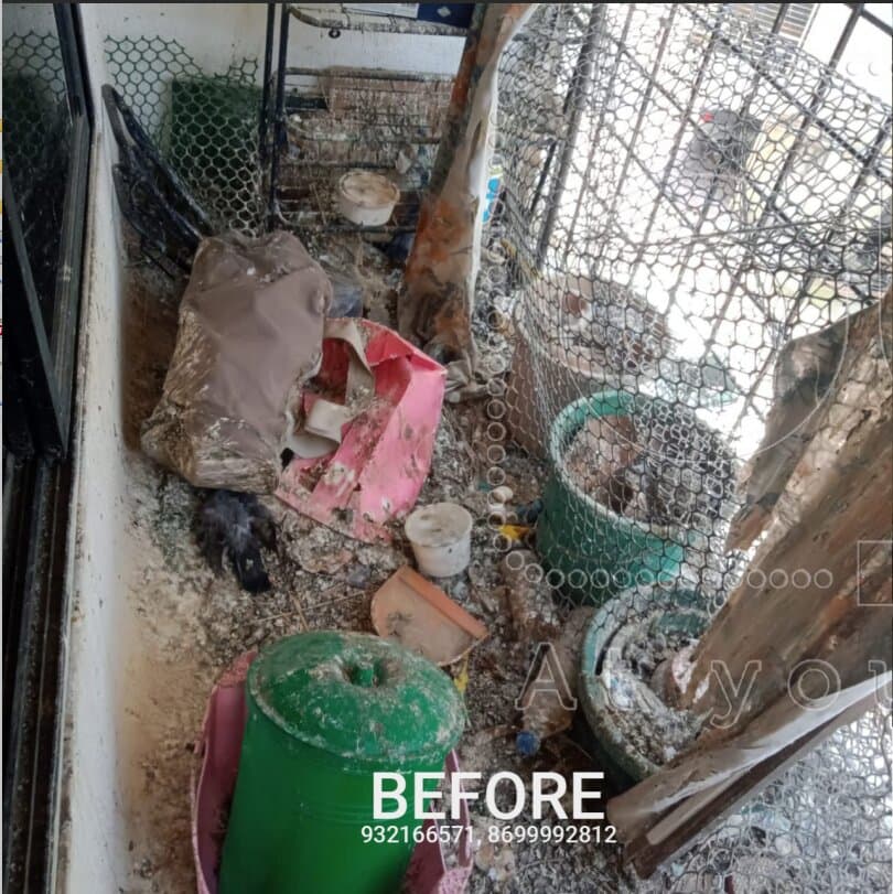 Before Cleaning